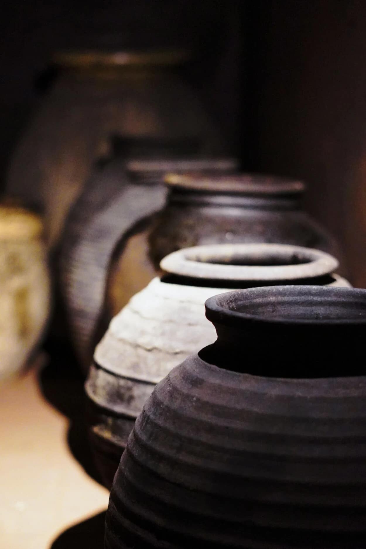 Visita al Museum dell’Olio di Bardolino: cosa vedere, cosa fare e degustazioni sul Lago di Garda 2 Museum dellOlio 11