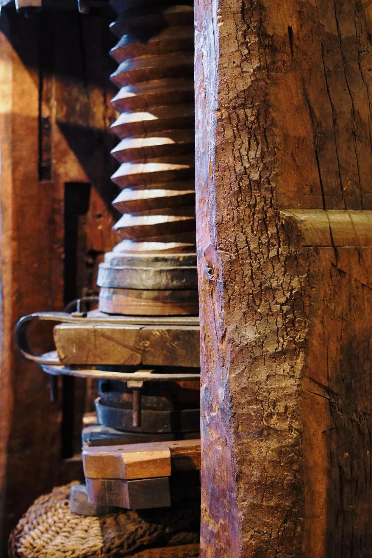 Visita al Museum dell’Olio di Bardolino: cosa vedere, cosa fare e degustazioni sul Lago di Garda 11 Museum dellOlio 2