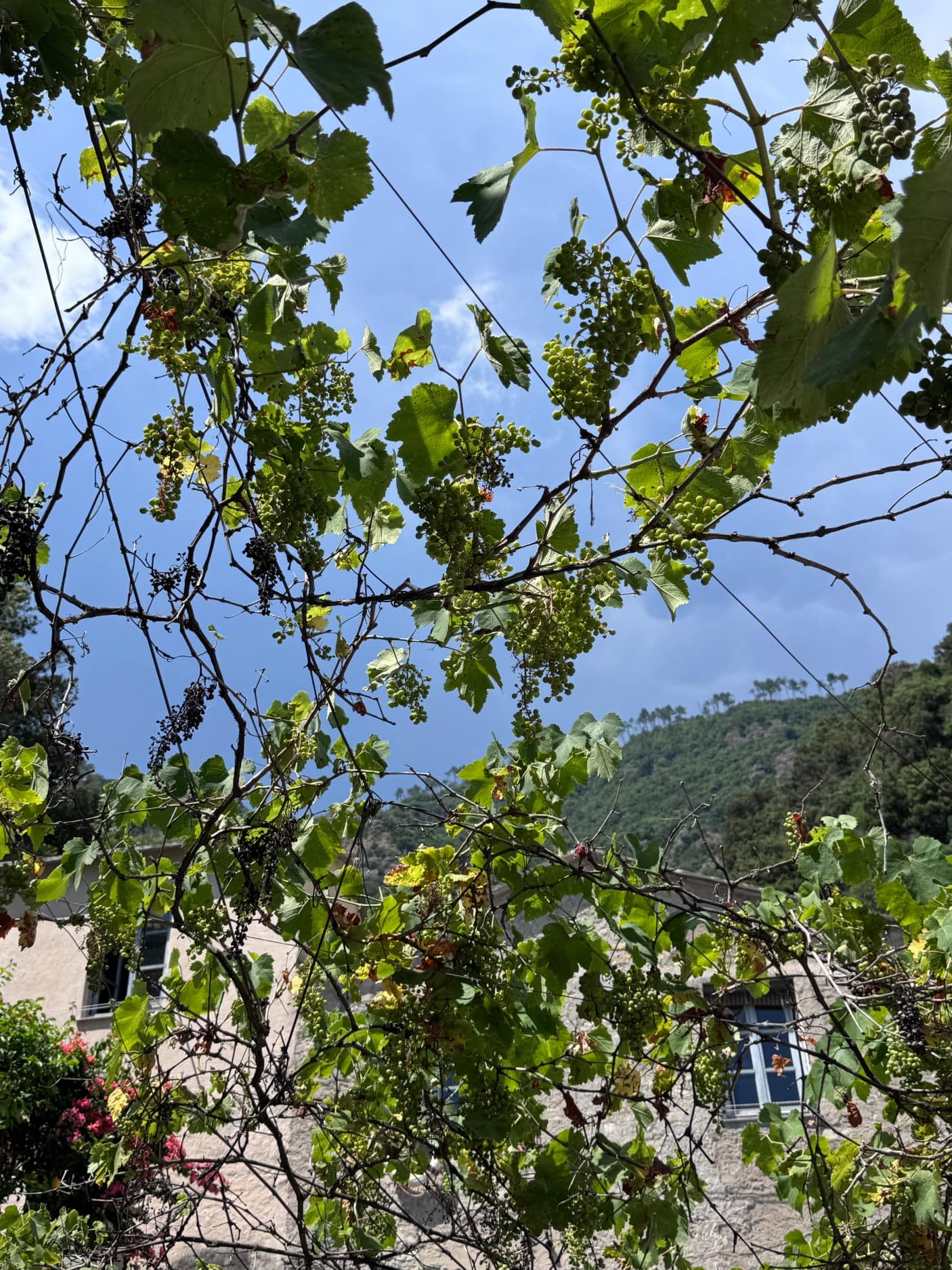 Abbazia di San Fruttuoso 20