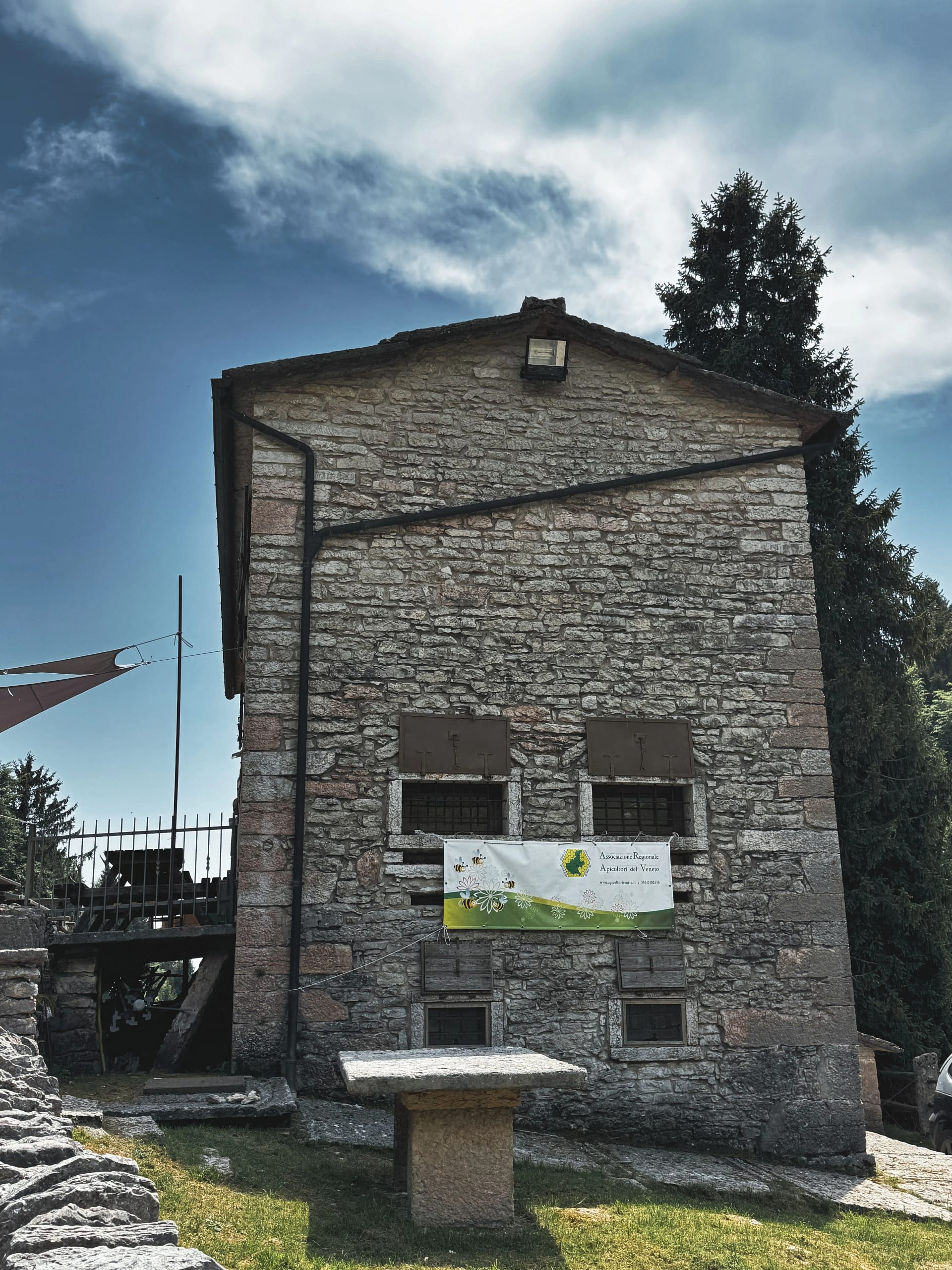 Malga Derocon: api, natura e sentieri in Lessinia 6 Malga Derocon 10