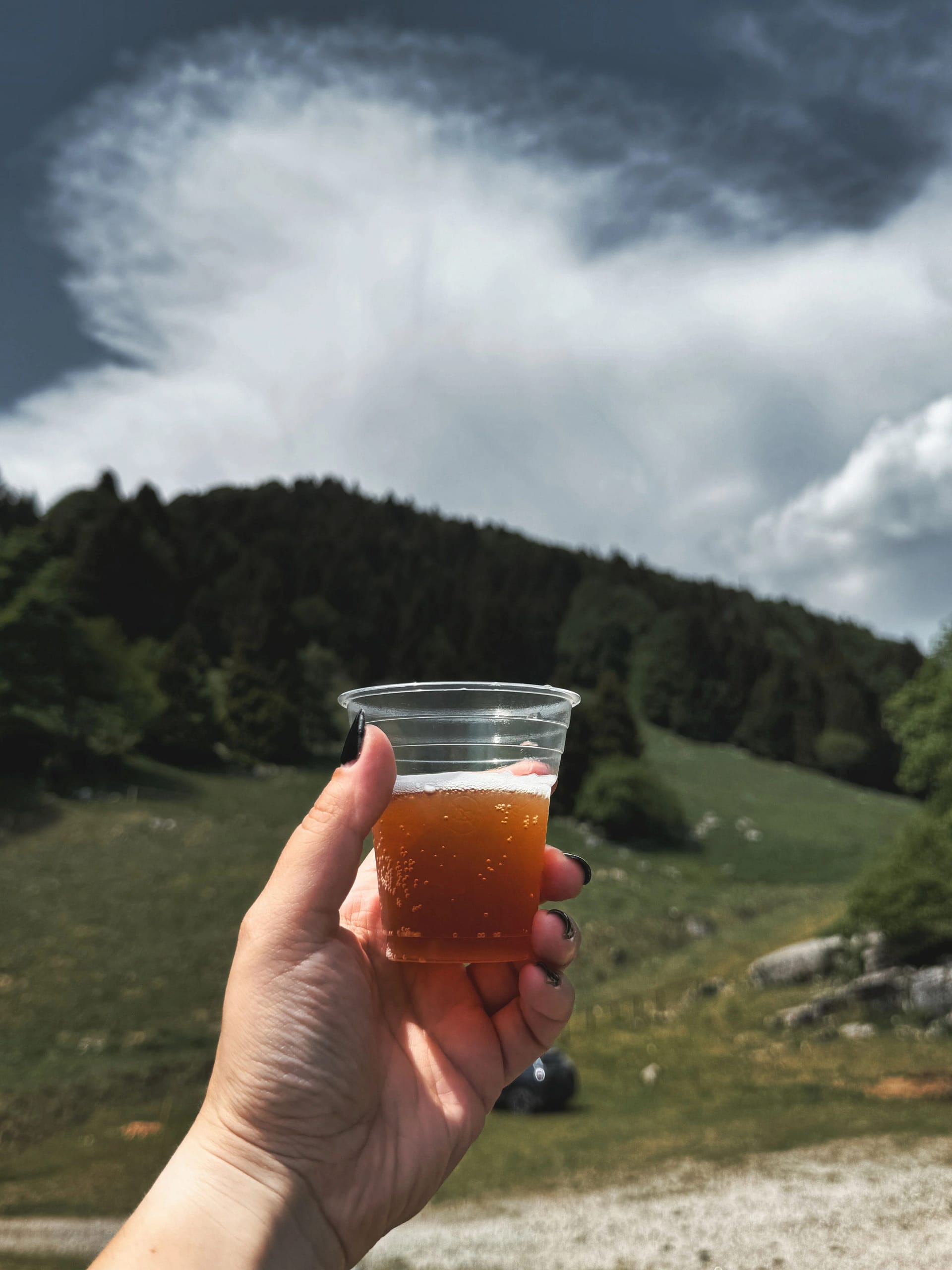 Malga Derocon: api, natura e sentieri in Lessinia 2 Malga Derocon 15