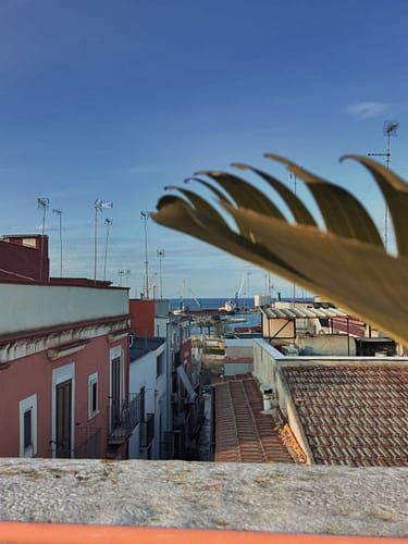 Barletta