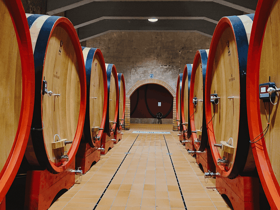 Cantine Giacomo Montresor 11 scaled