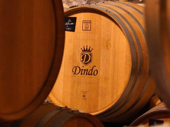 Cantina Dindo 17