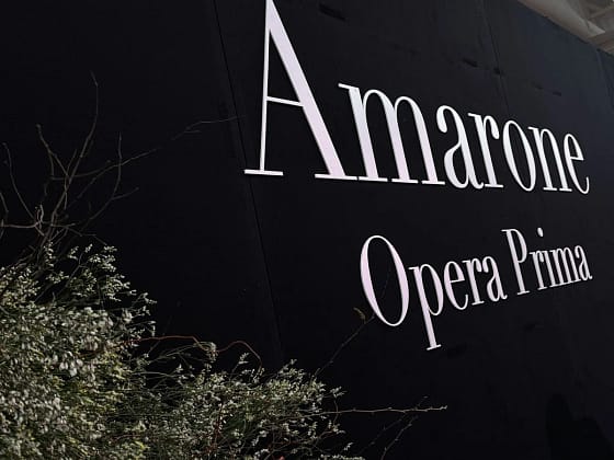 Opera Amarone 2026 3