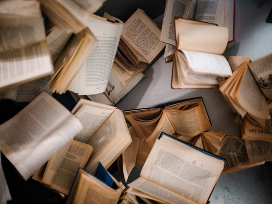 libri scaled