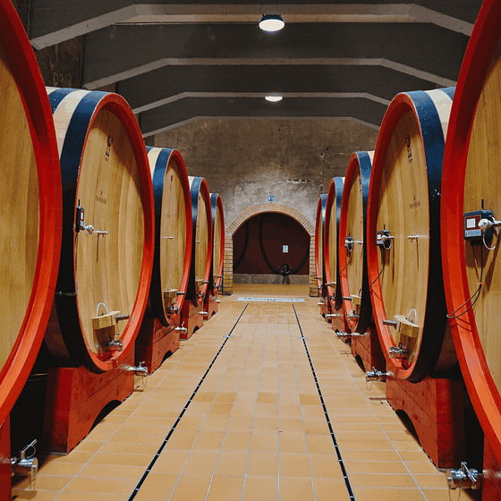 Cantine Giacomo Montresor 11 scaled