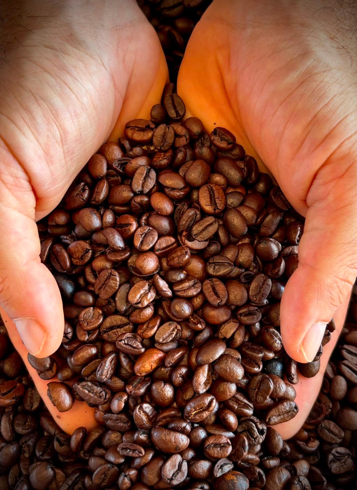 Caffè Teresi: il rituale autentico che trasforma il caffè 2 Caffe Teresi