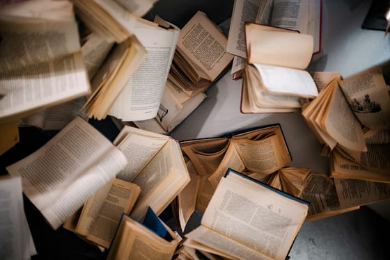 libri scaled