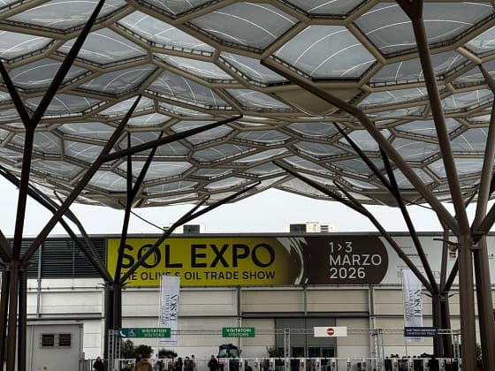 Sol Expo 9
