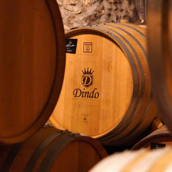 Cantina Dindo 17